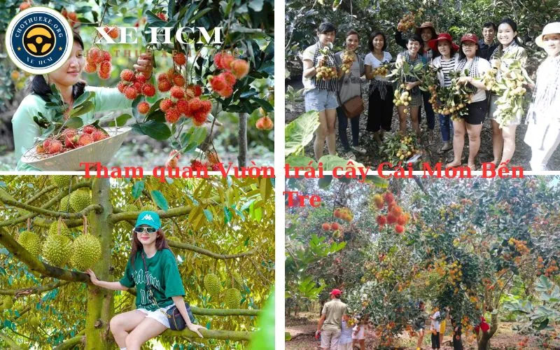thue-xe-16-cho-di-du-lich-ben-tre-4 Thuê xe 16 chỗ tham quan Vườn trái cây Cái Mơn