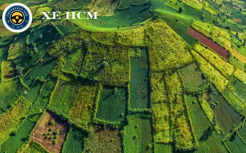 thue-xe-di-gia-lai-6 Thuê xe đi Gia Lai