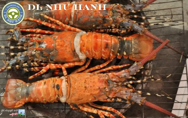 thue-xe-di-lagi-an-gi-2 Thuê xe đi Lagi ăn hải sản tươi sống